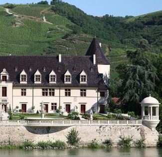 Château d'Ampuis, vignoble